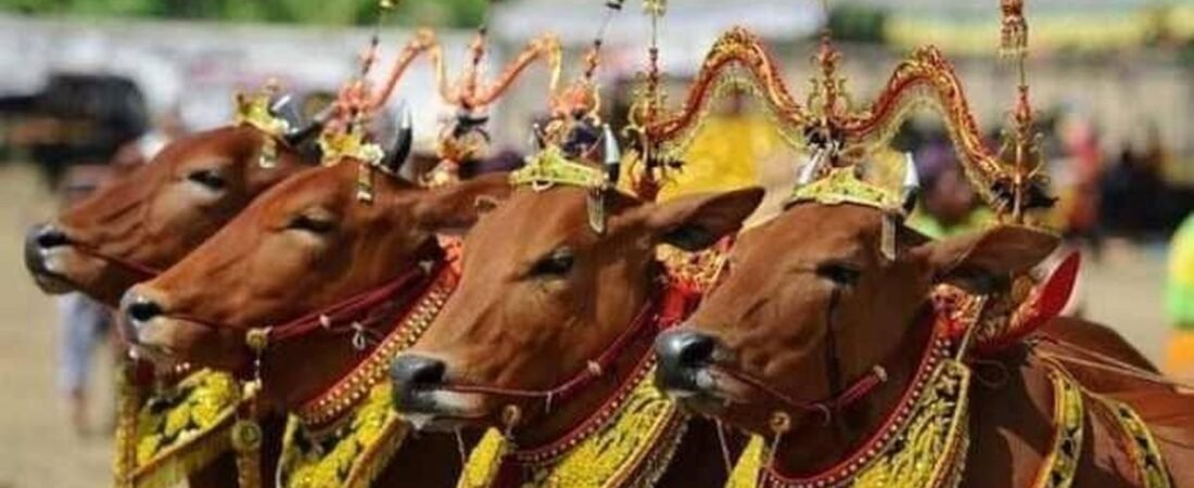 Tradisi Idul Adha di Indonesia yang Unik dan Penuh Makna