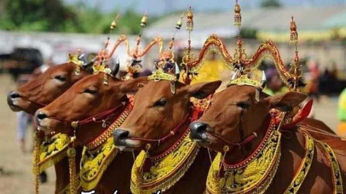 Tradisi Idul Adha di Indonesia yang Unik dan Penuh Makna