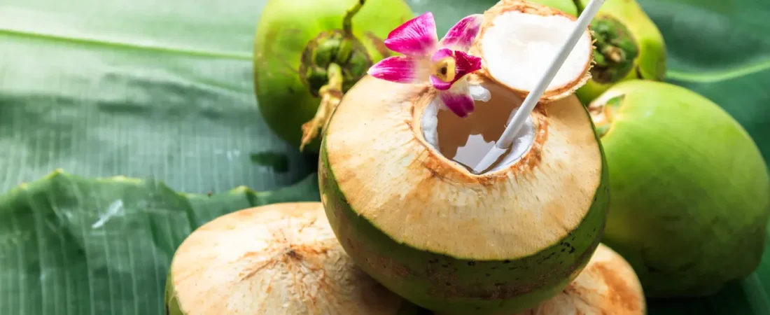 Waktu Terbaik Minum Air Kelapa, Pagi atau Malam?