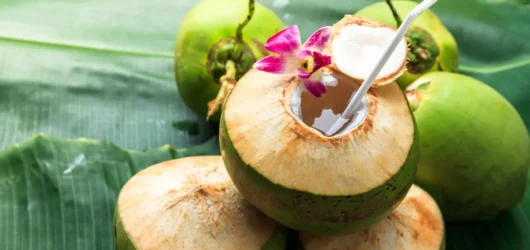 Waktu Terbaik Minum Air Kelapa, Pagi atau Malam?