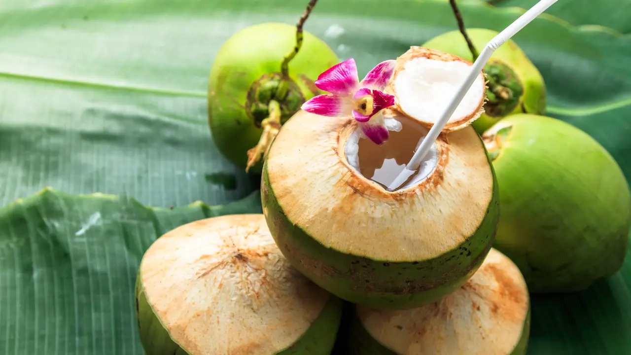 Waktu Terbaik Minum Air Kelapa, Pagi atau Malam?